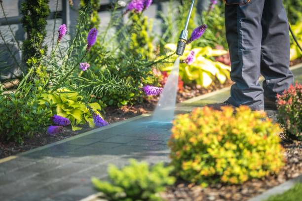Best Concrete Surface Cleaning in Buckhannon, WV